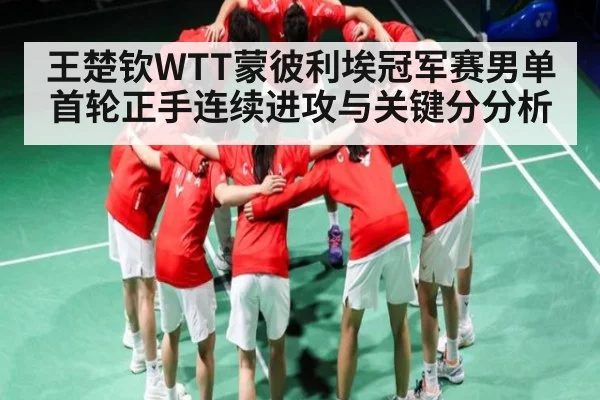王楚钦WTT蒙彼利埃冠军赛男单首轮正手连续进攻与关键分分析